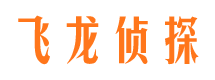 新华侦探调查公司